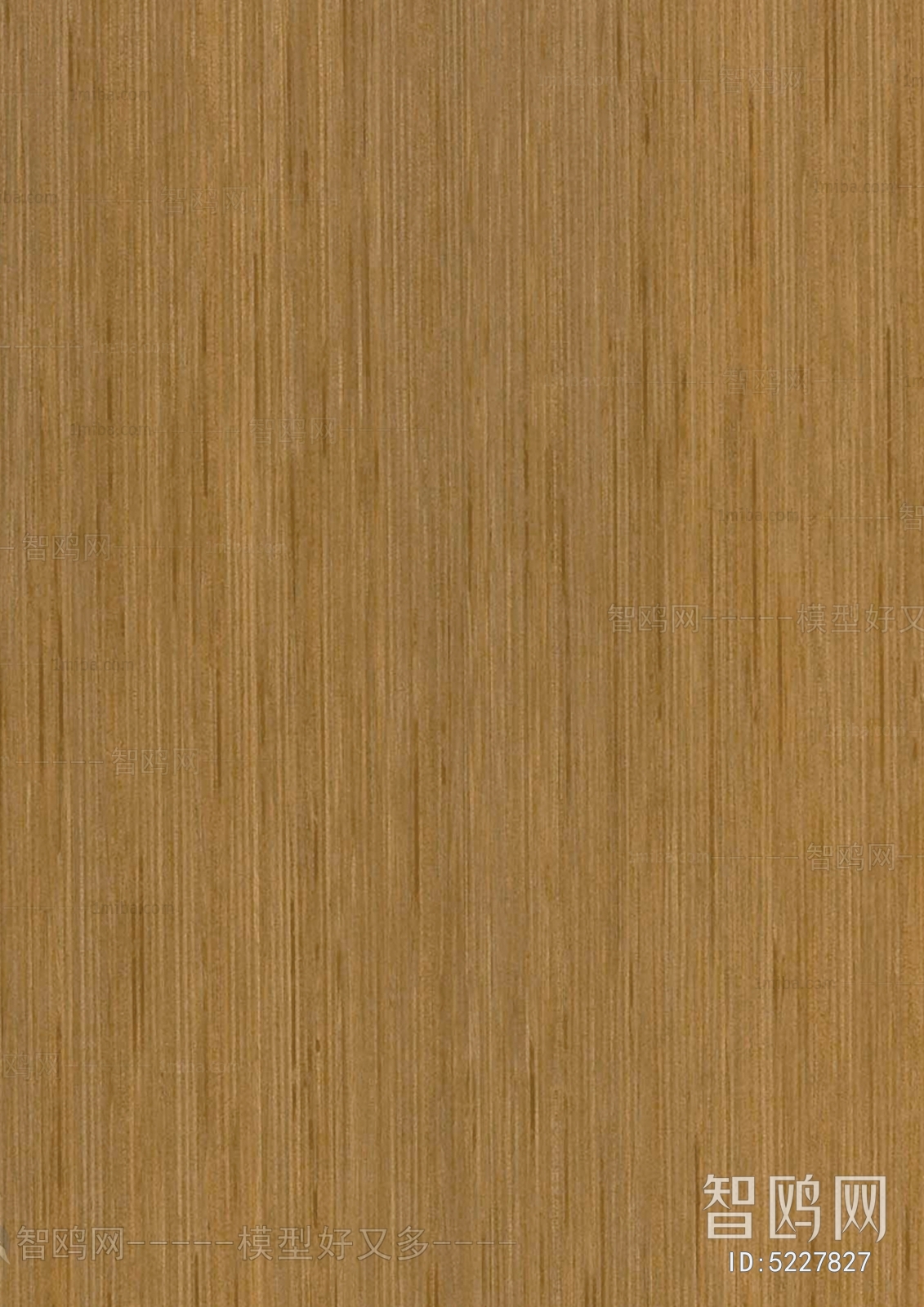 Wood Texture