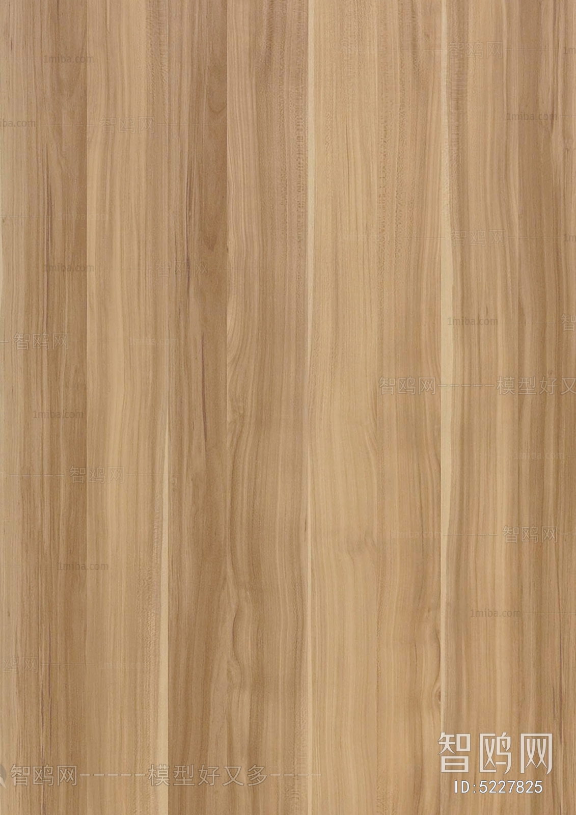 Wood Texture