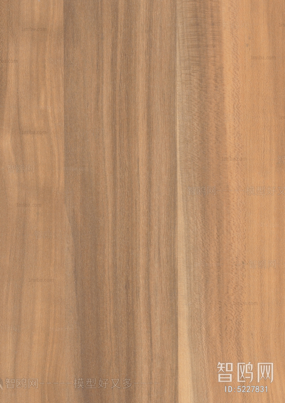 Wood Texture