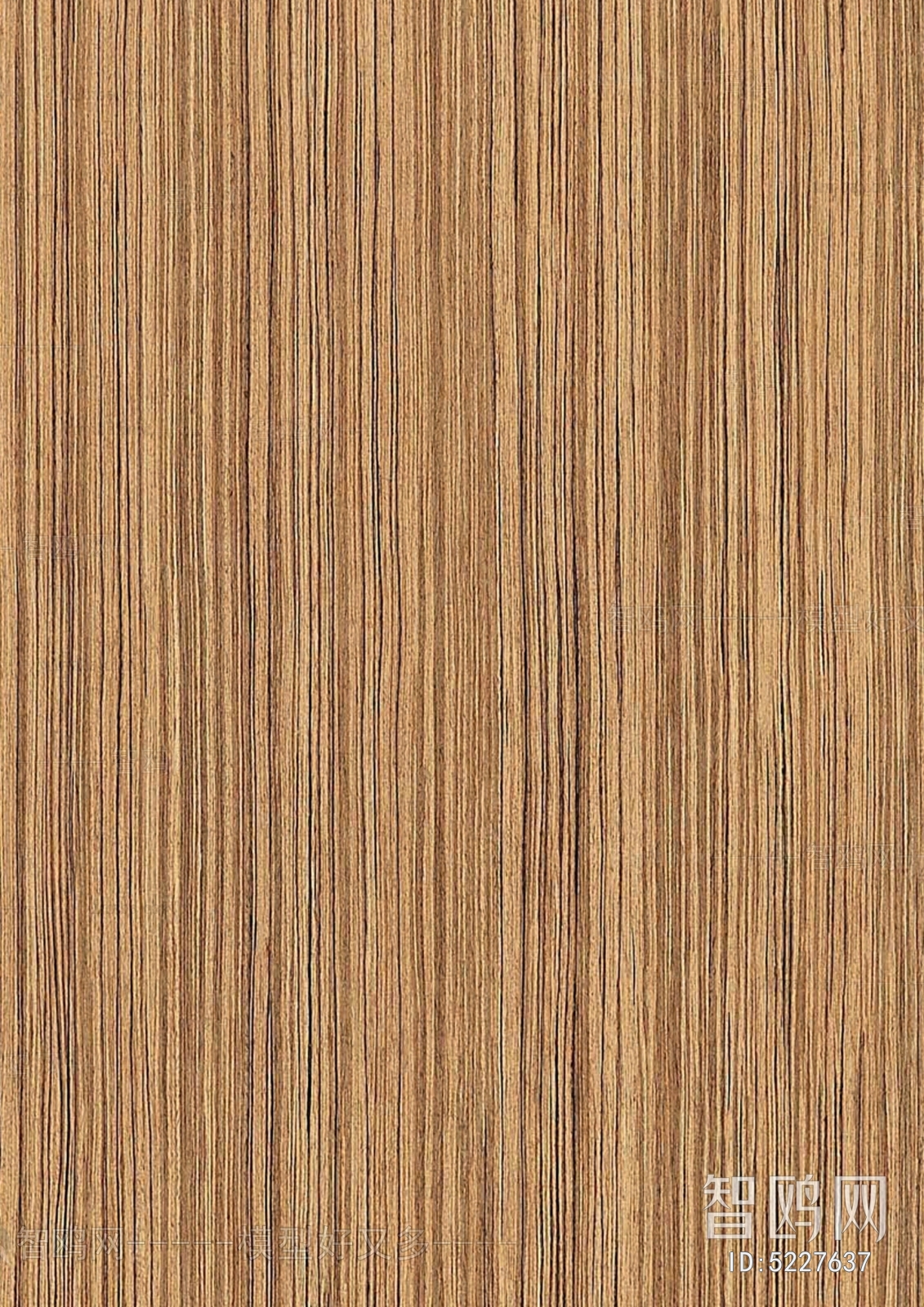 Wood Texture