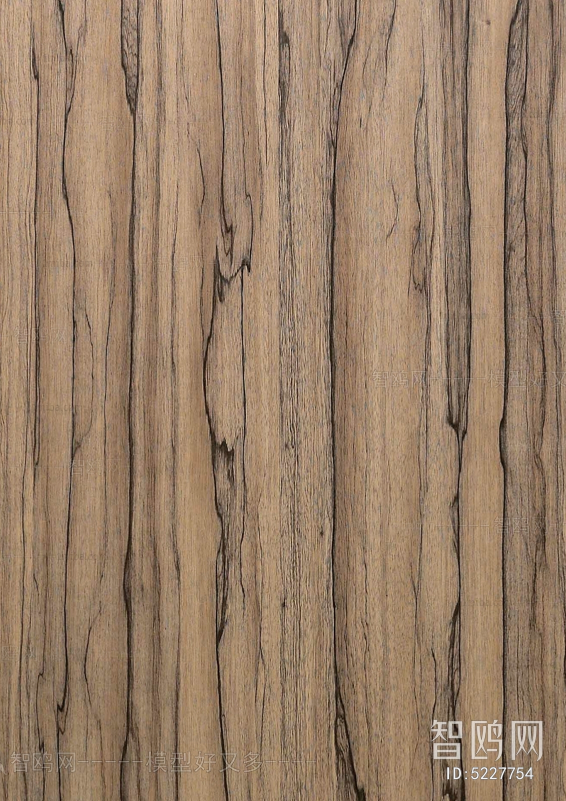 Wood Texture