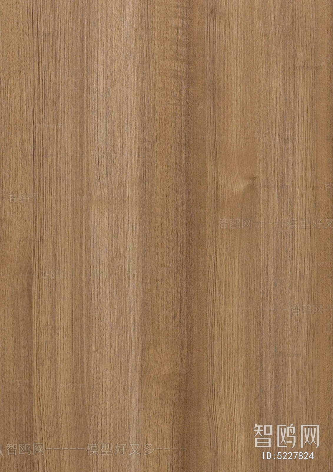 Wood Texture