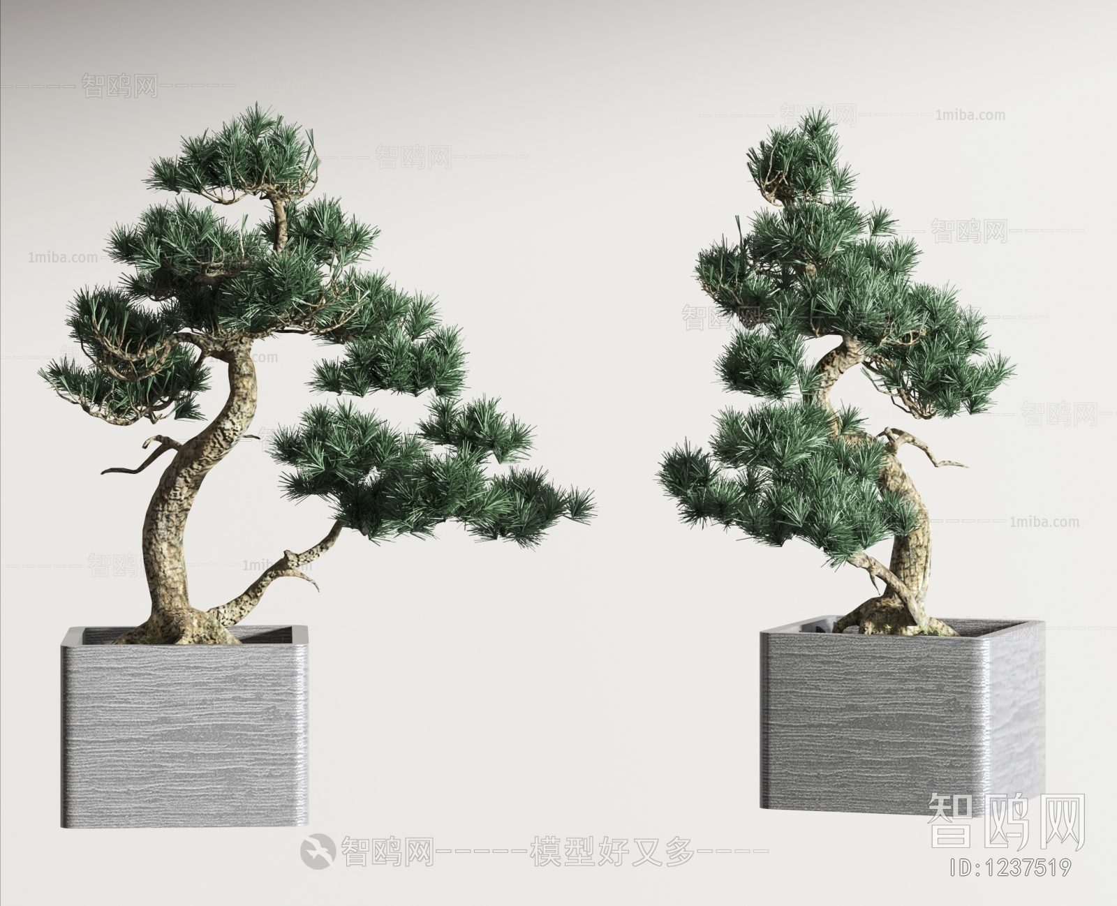 New Chinese Style Bonsai