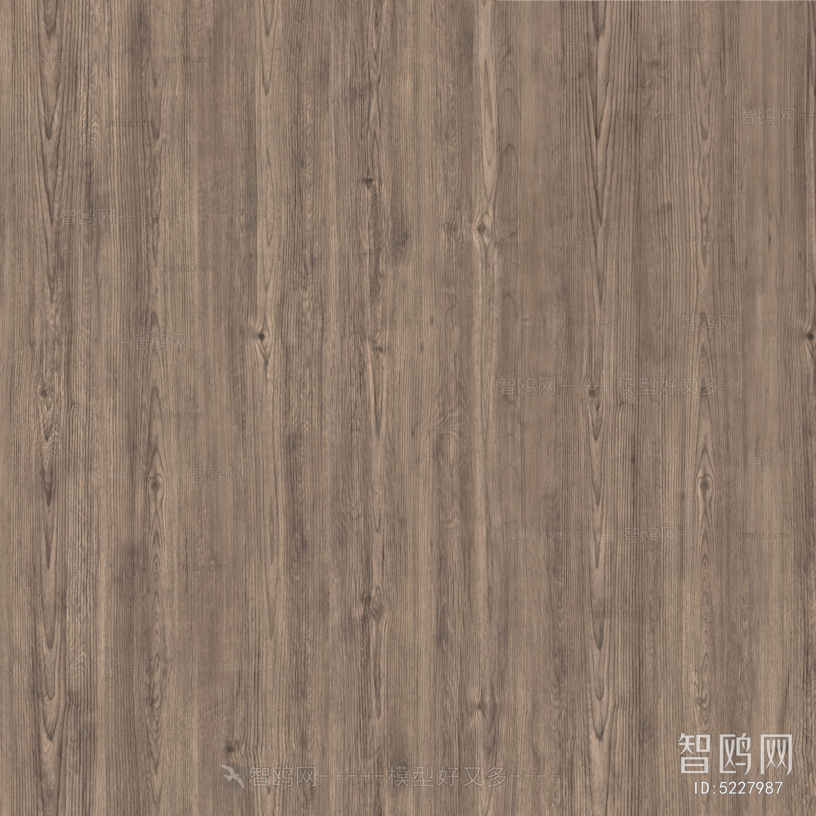 Wood Texture