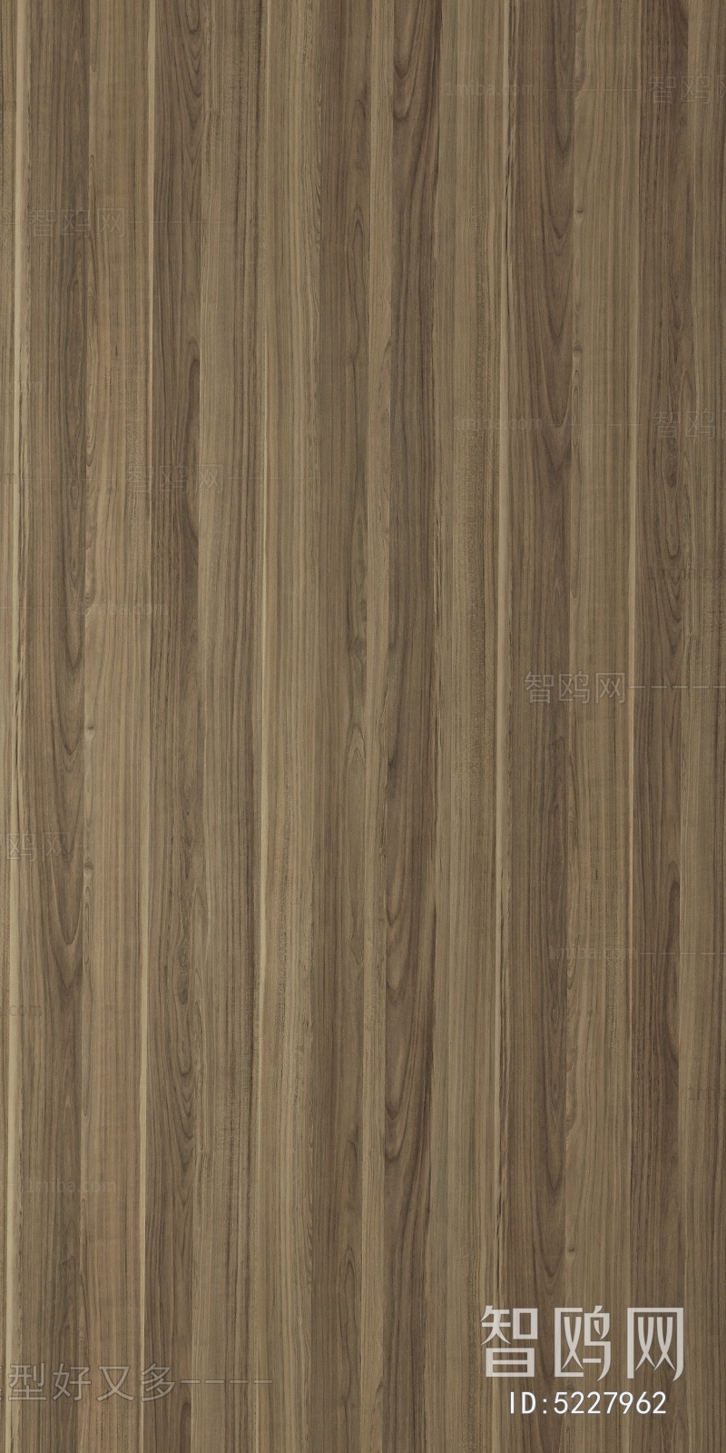 Wood Texture