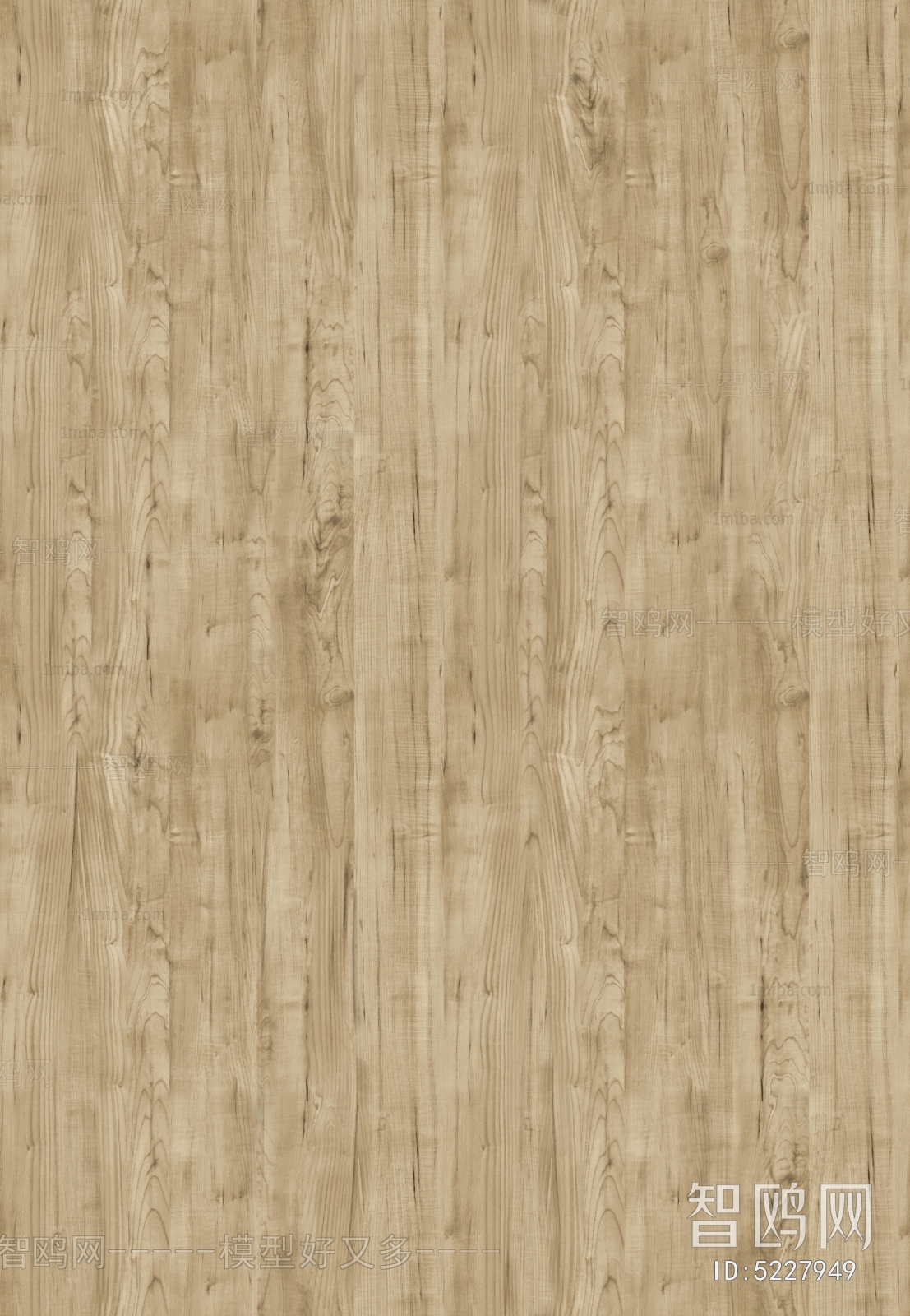 Wood Texture