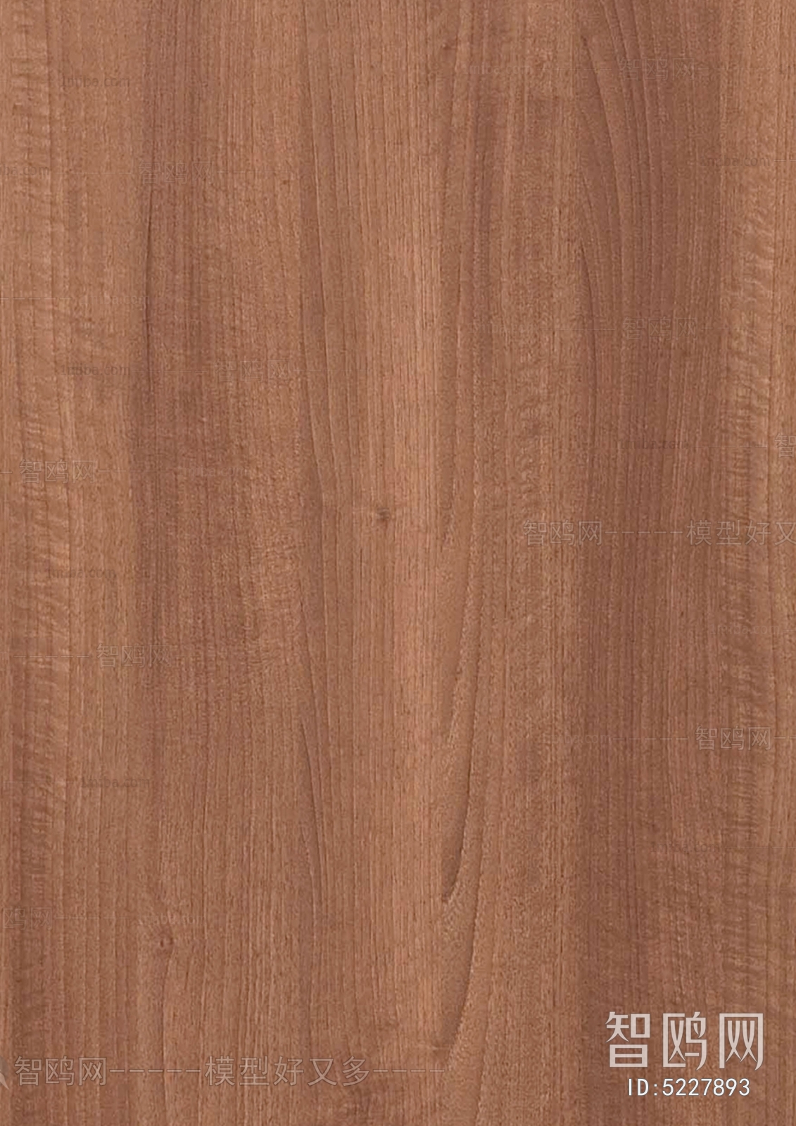 Wood Texture