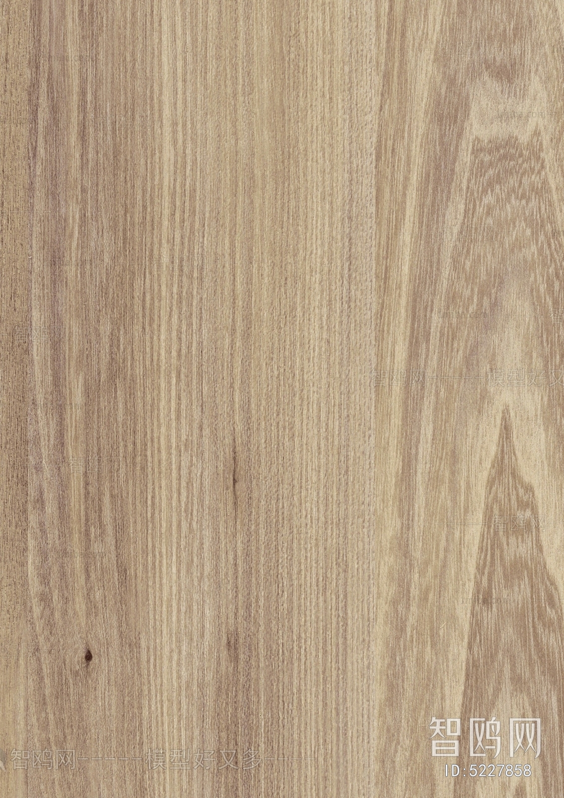 Wood Texture