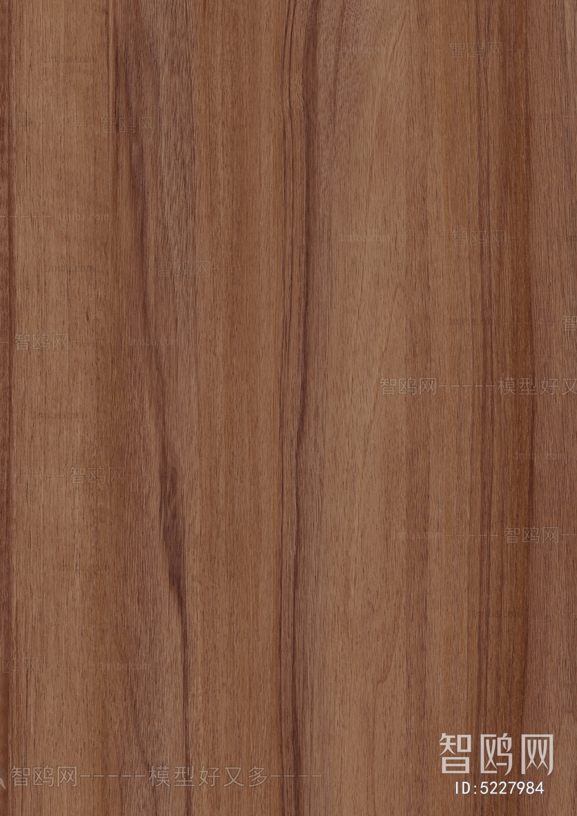 Wood Texture