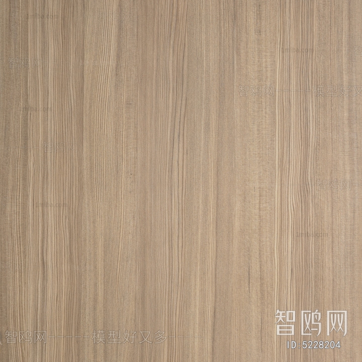 Wood Texture