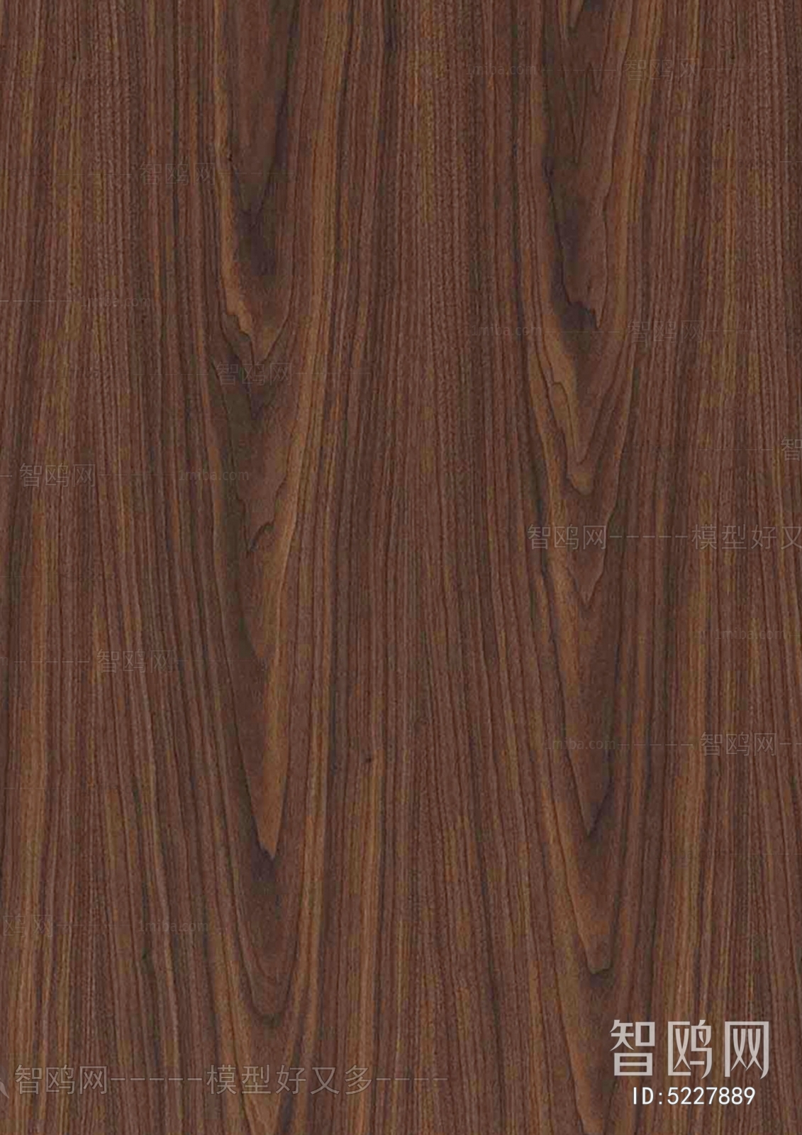 Wood Texture