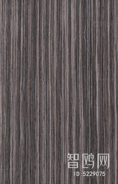 Wood Texture