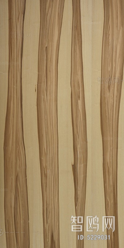 Wood Texture