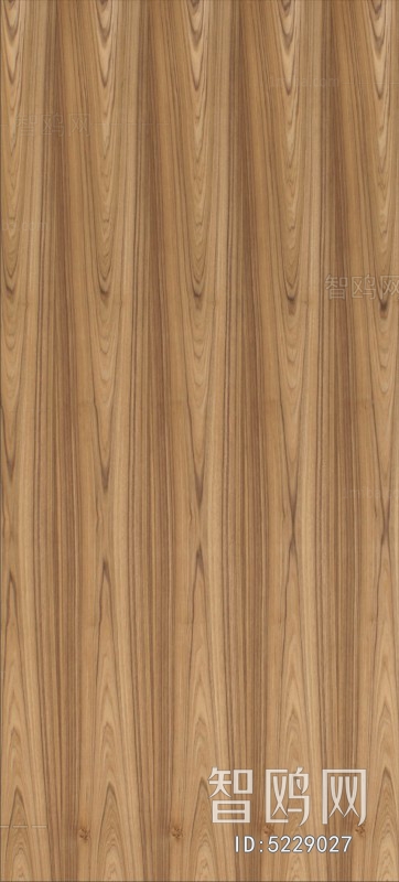 Wood Texture