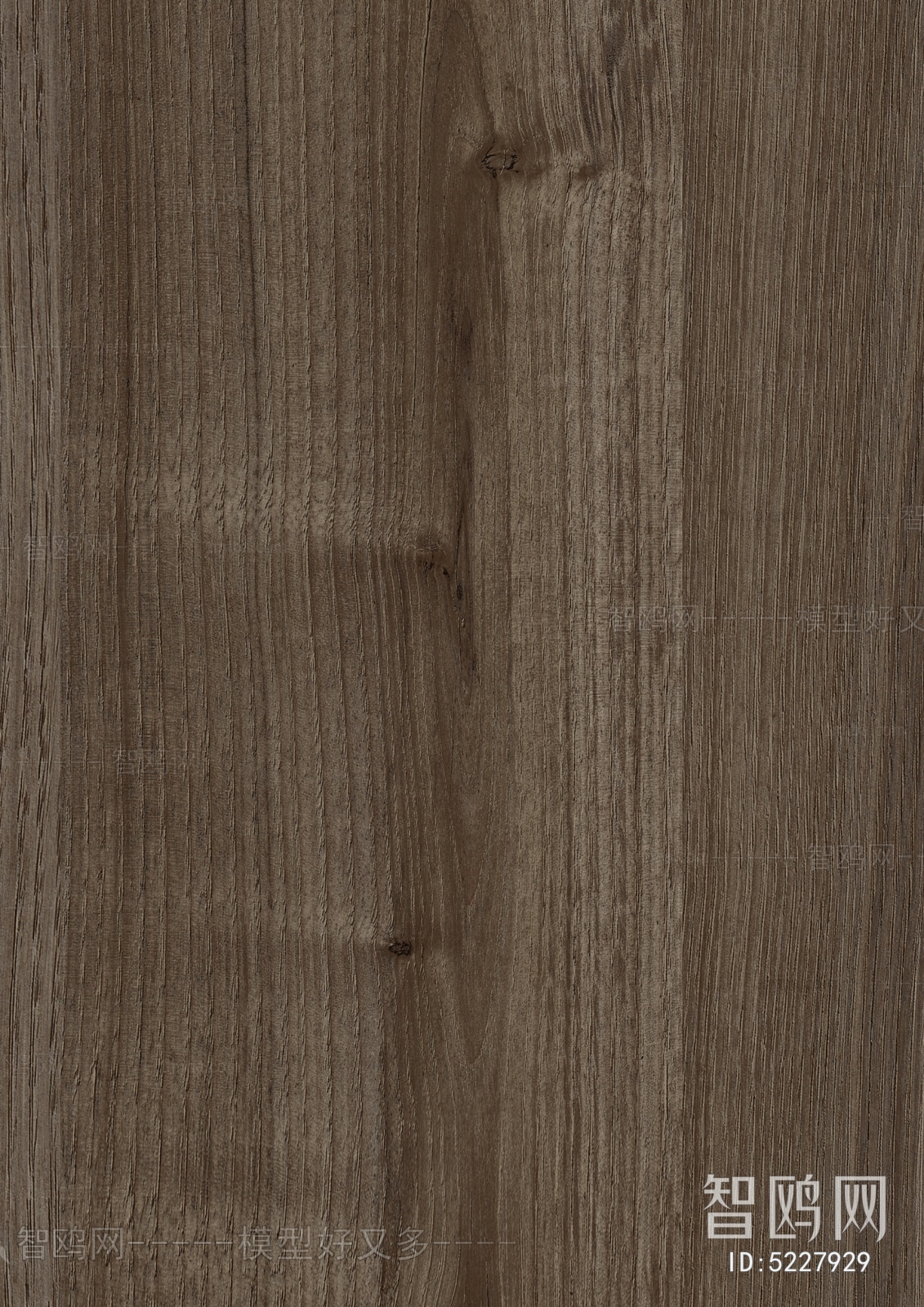 Wood Texture