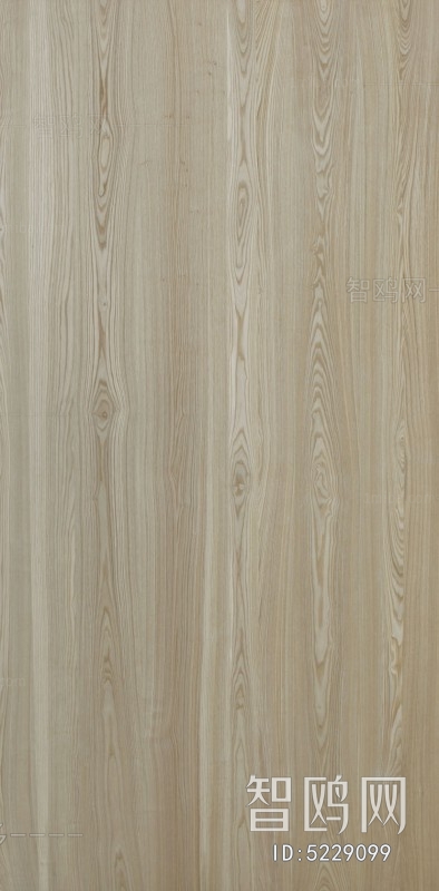 Wood Texture