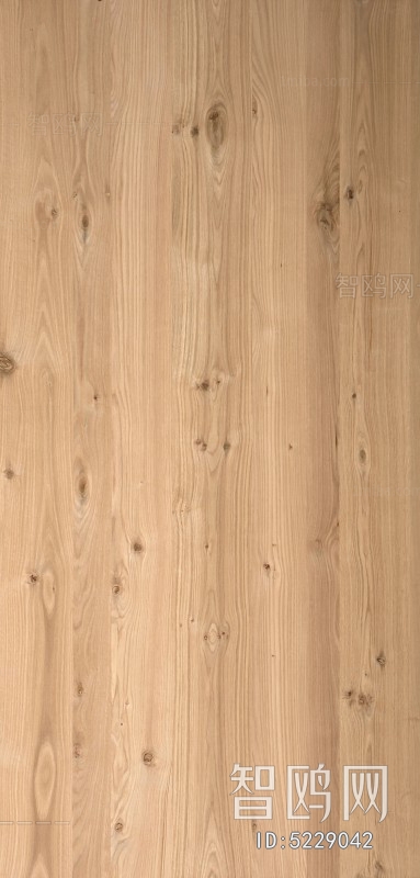 Wood Texture