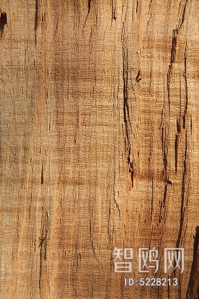 Wood Texture