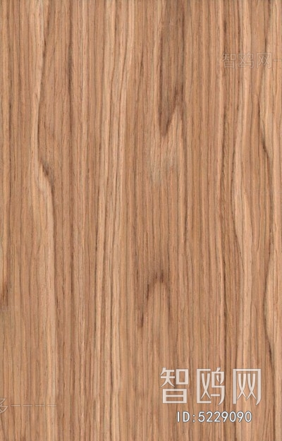 Wood Texture