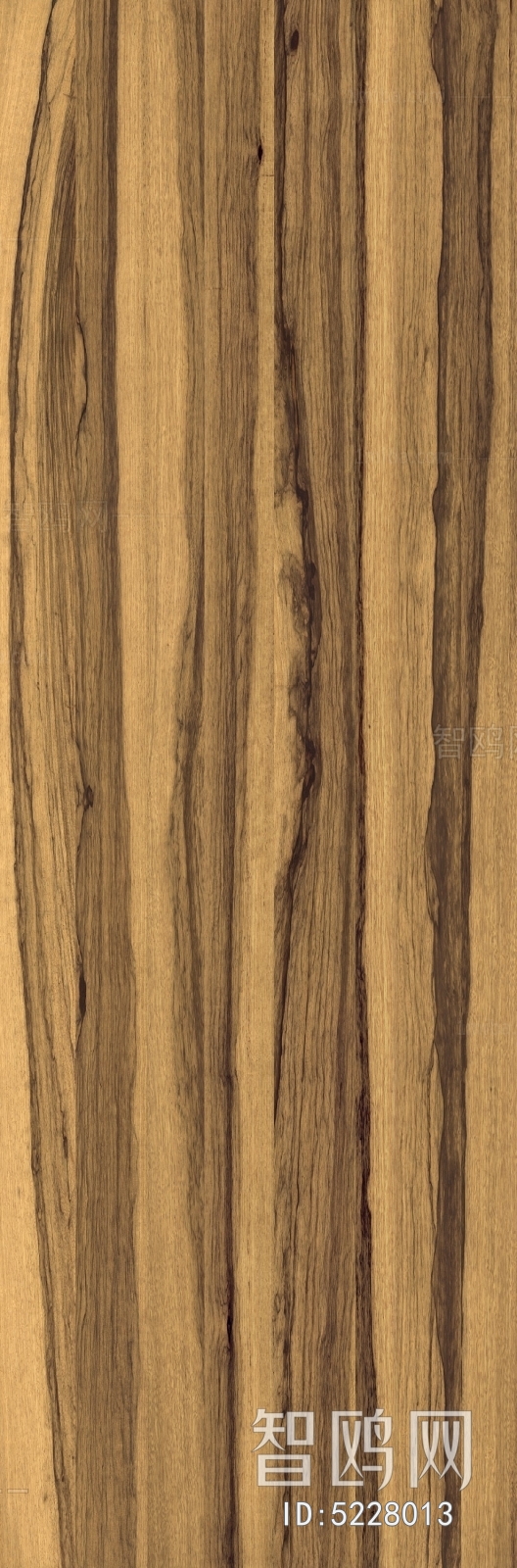 Wood Texture