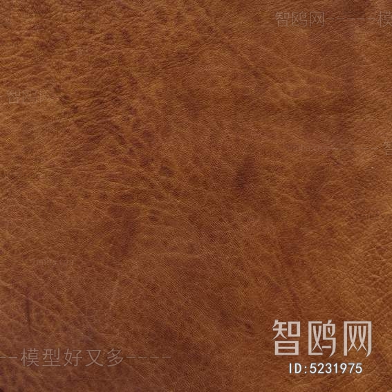 Rough Grain Leather