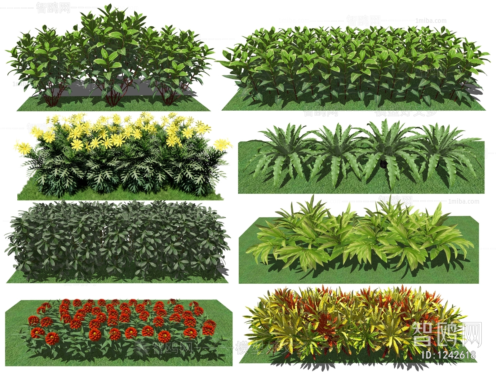 现代灌木绿植组合