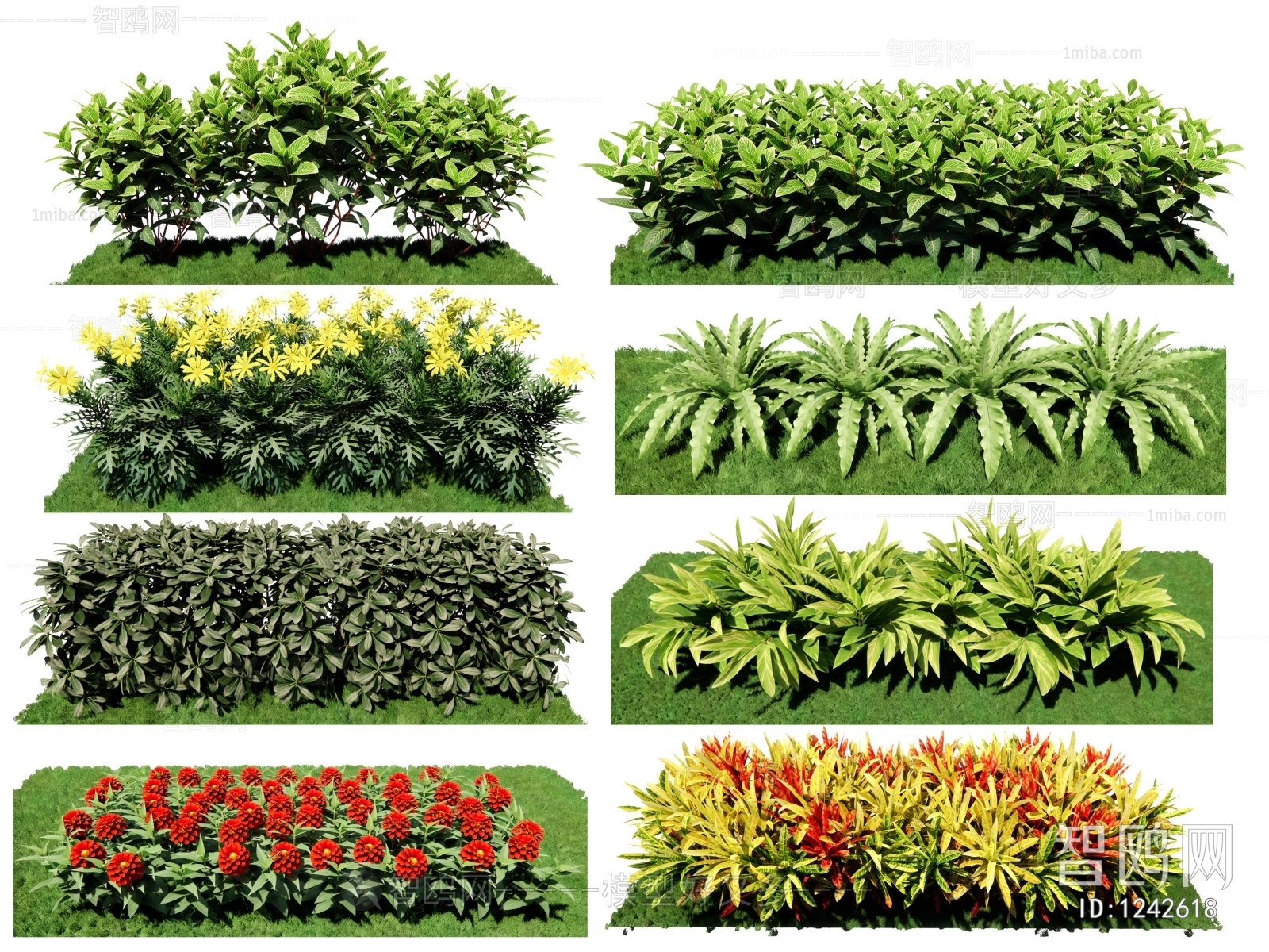 现代灌木绿植组合