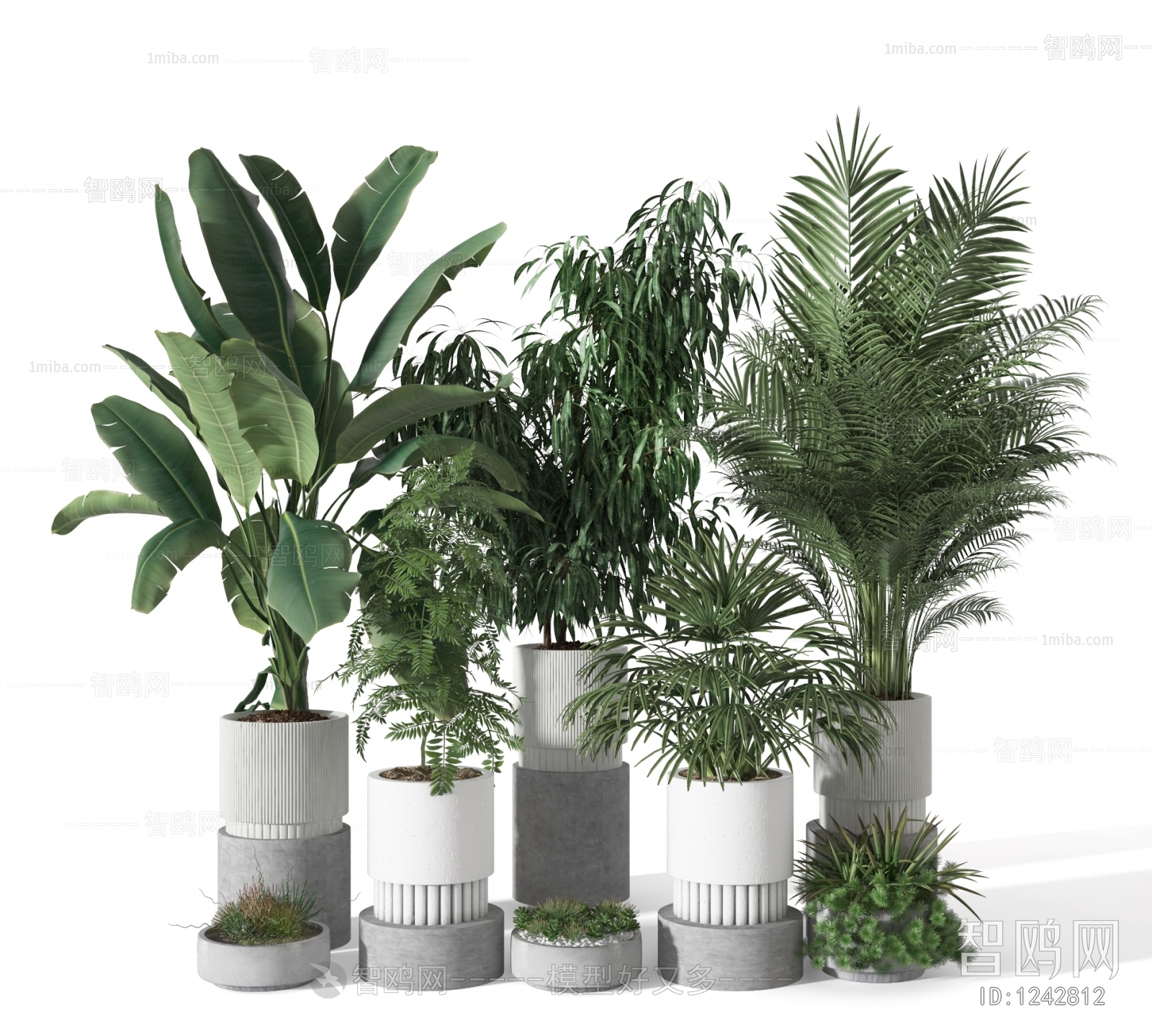 Modern Potted Green Plant