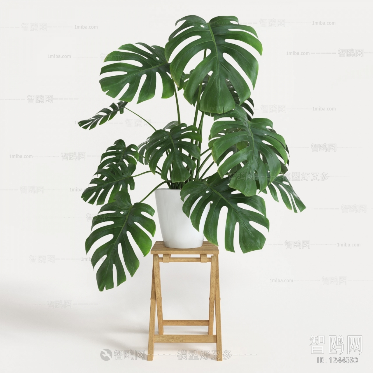 Modern Potted Green Plant