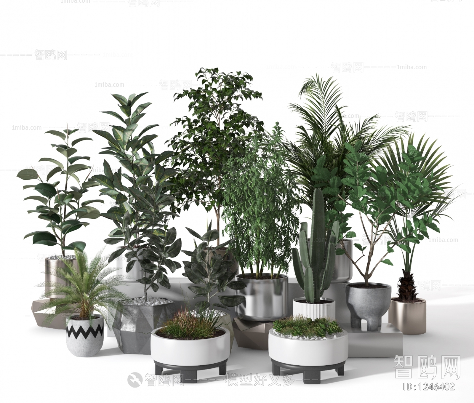 Modern Potted Green Plant