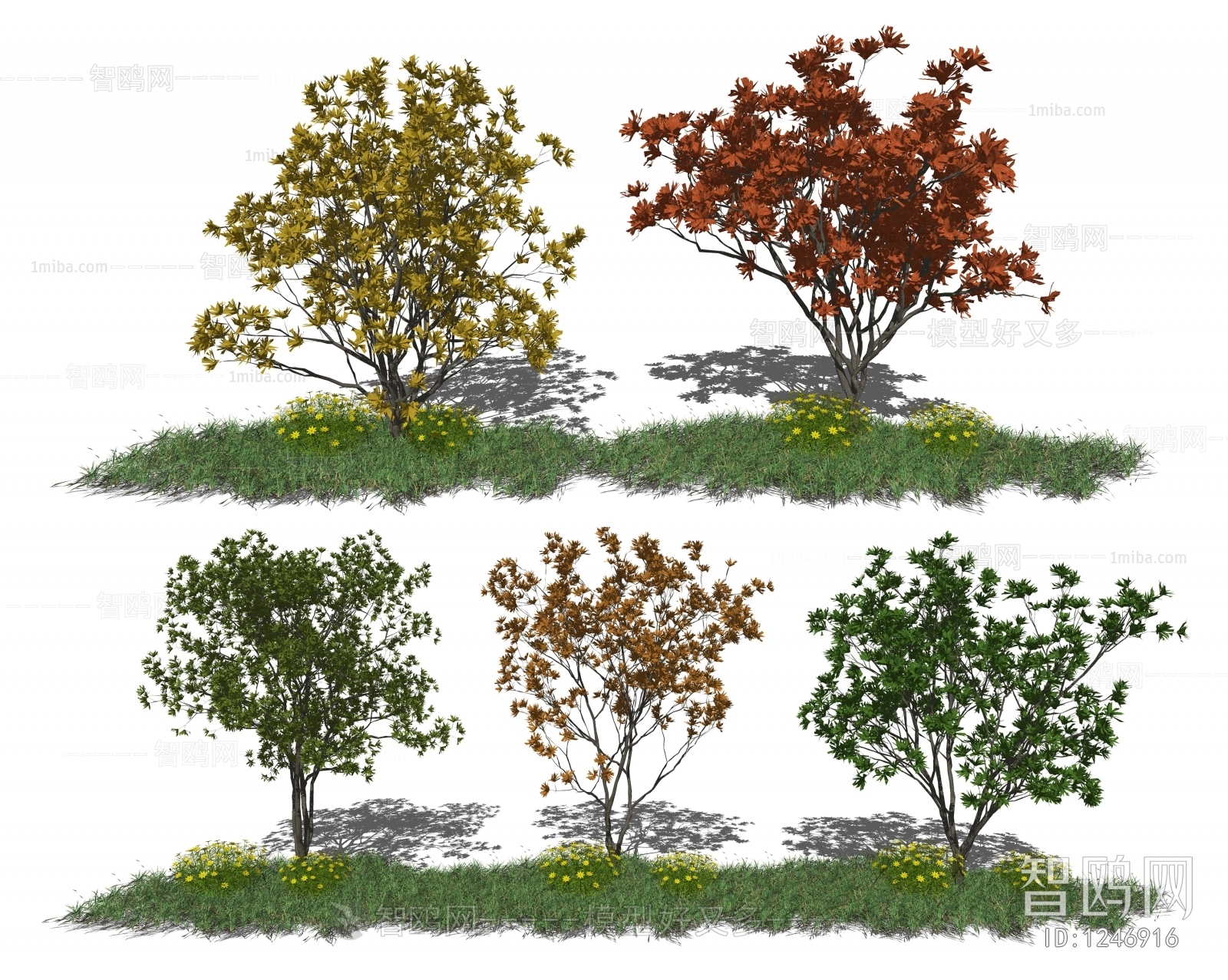 现代景观树、秋季红枫