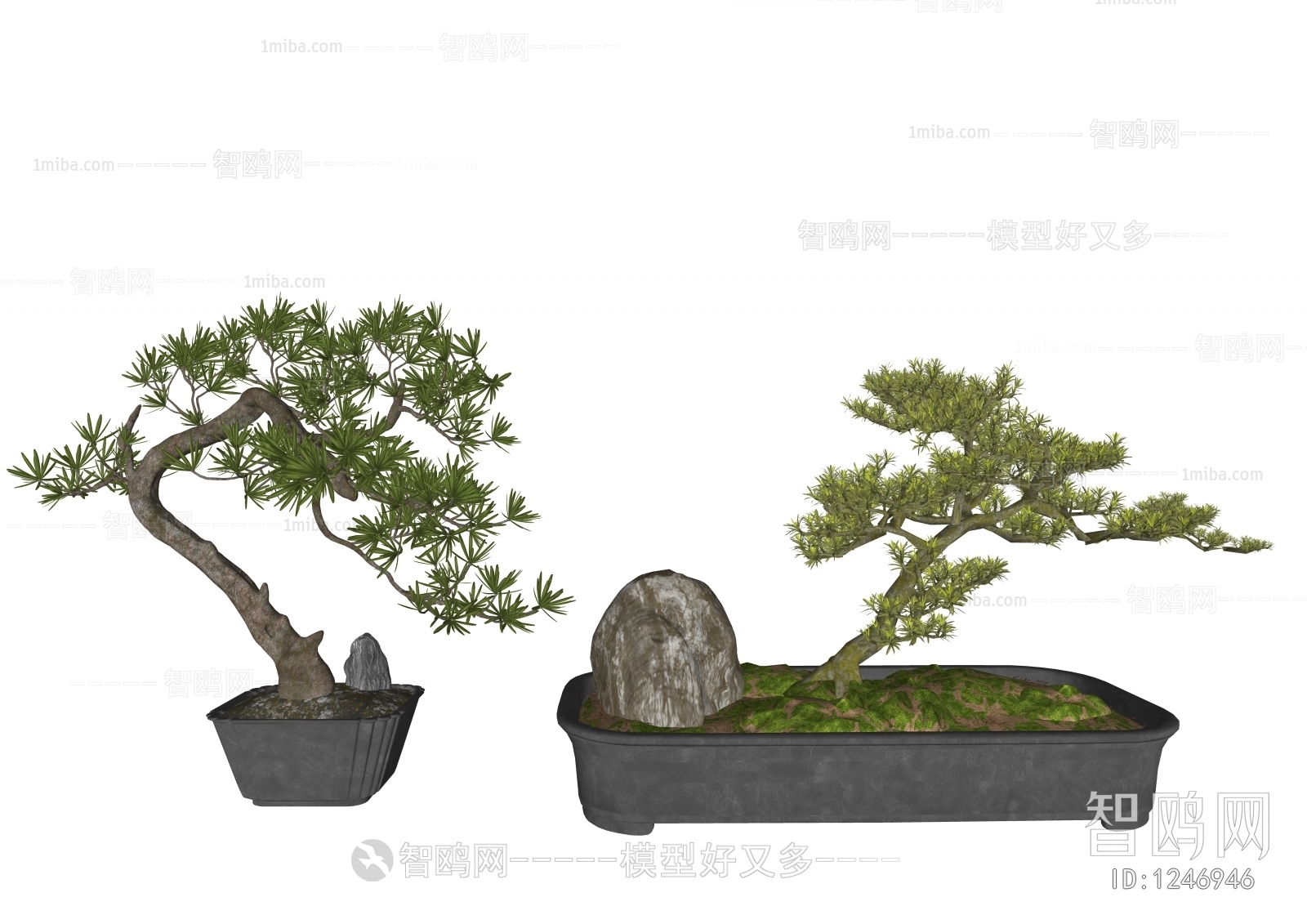 New Chinese Style Bonsai