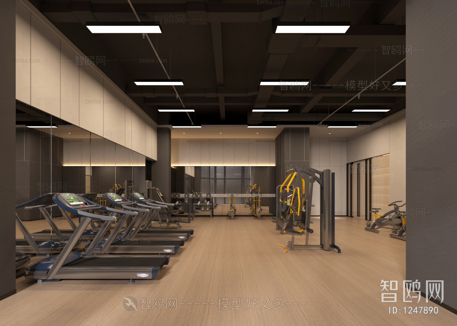 Modern Gym