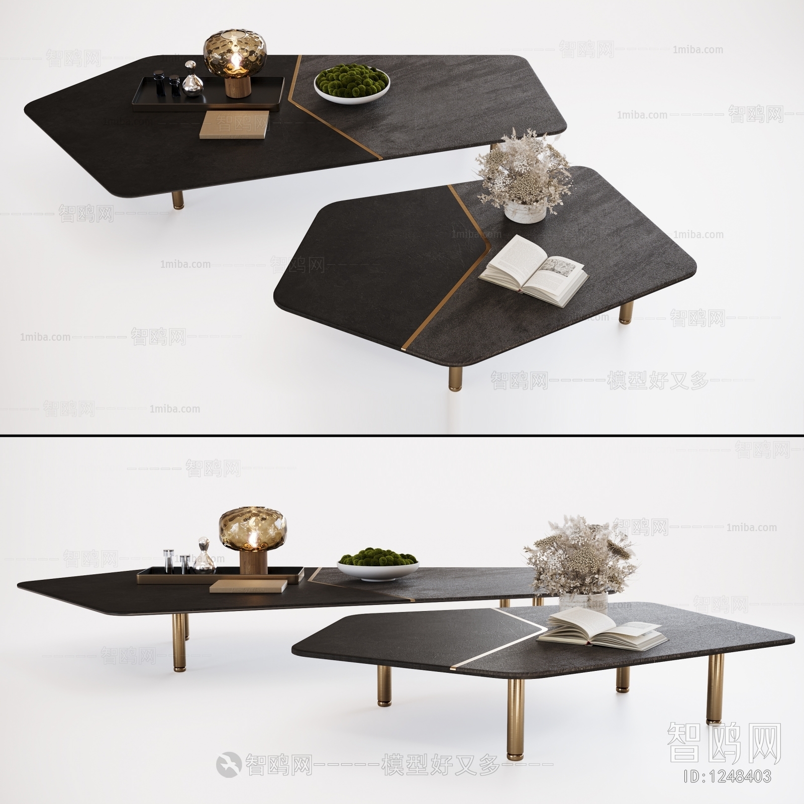 Modern Coffee Table