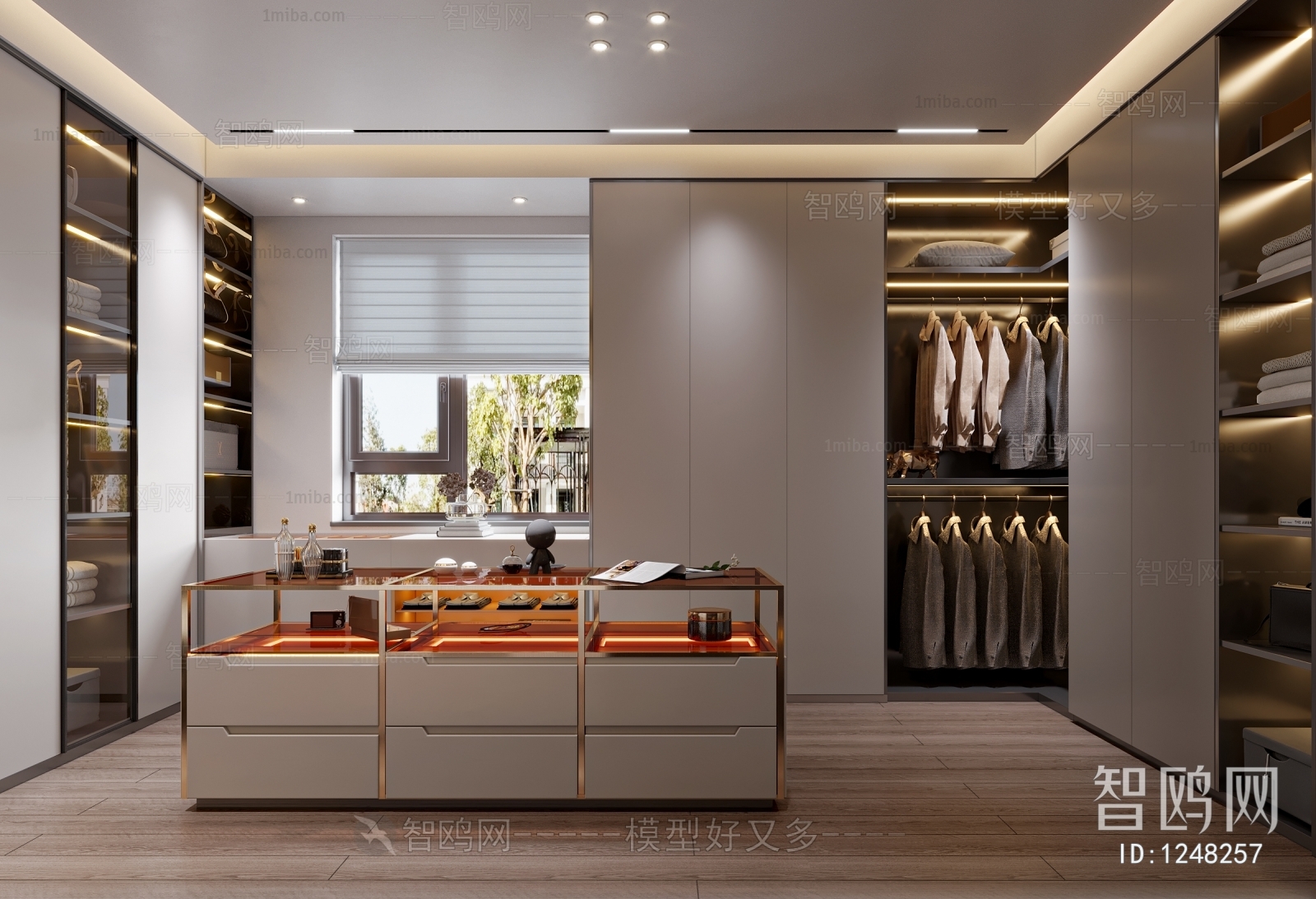 Modern Clothes Storage Area