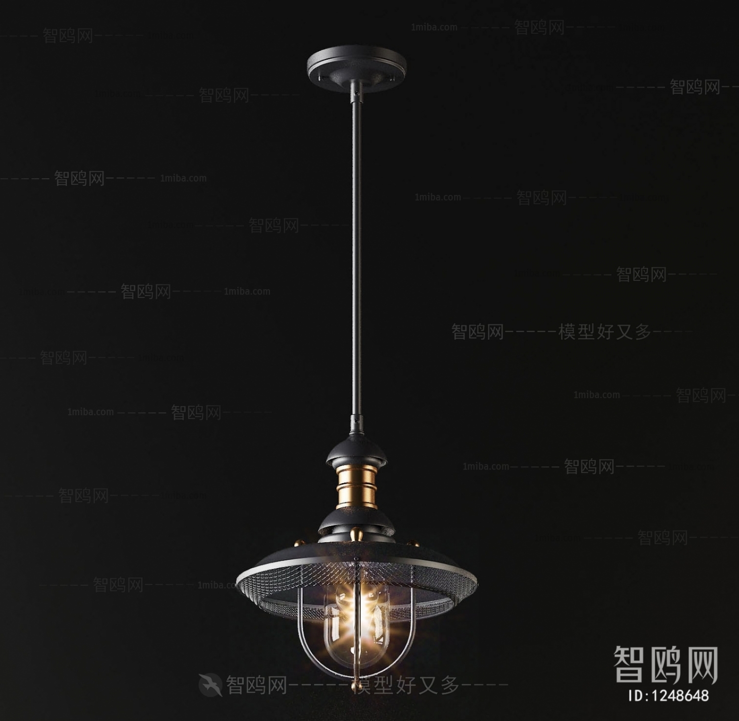 Industrial Style Droplight