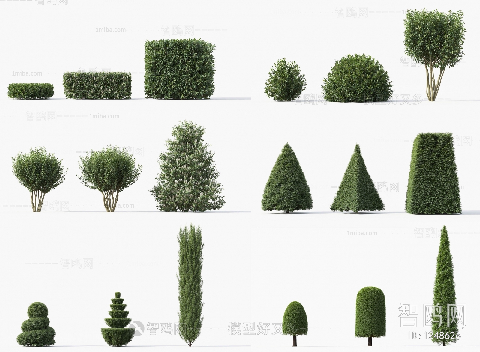 Modern Shrubbery