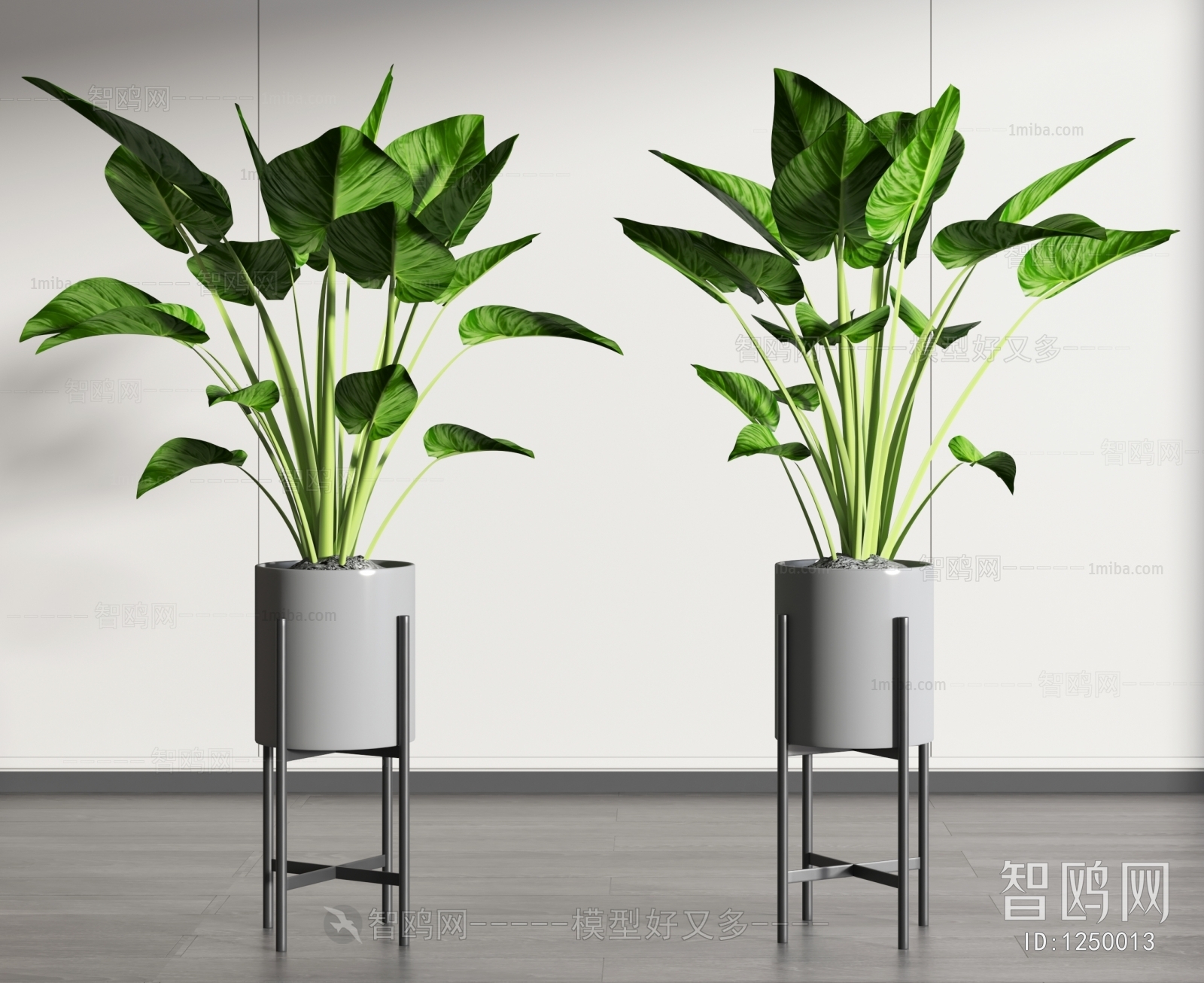 Modern Potted Green Plant