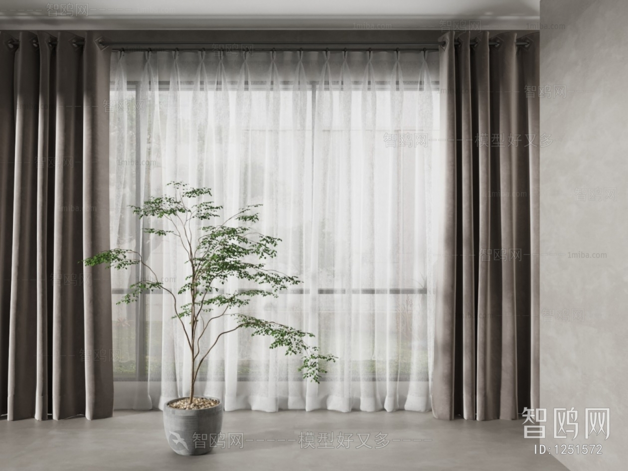 Modern The Curtain