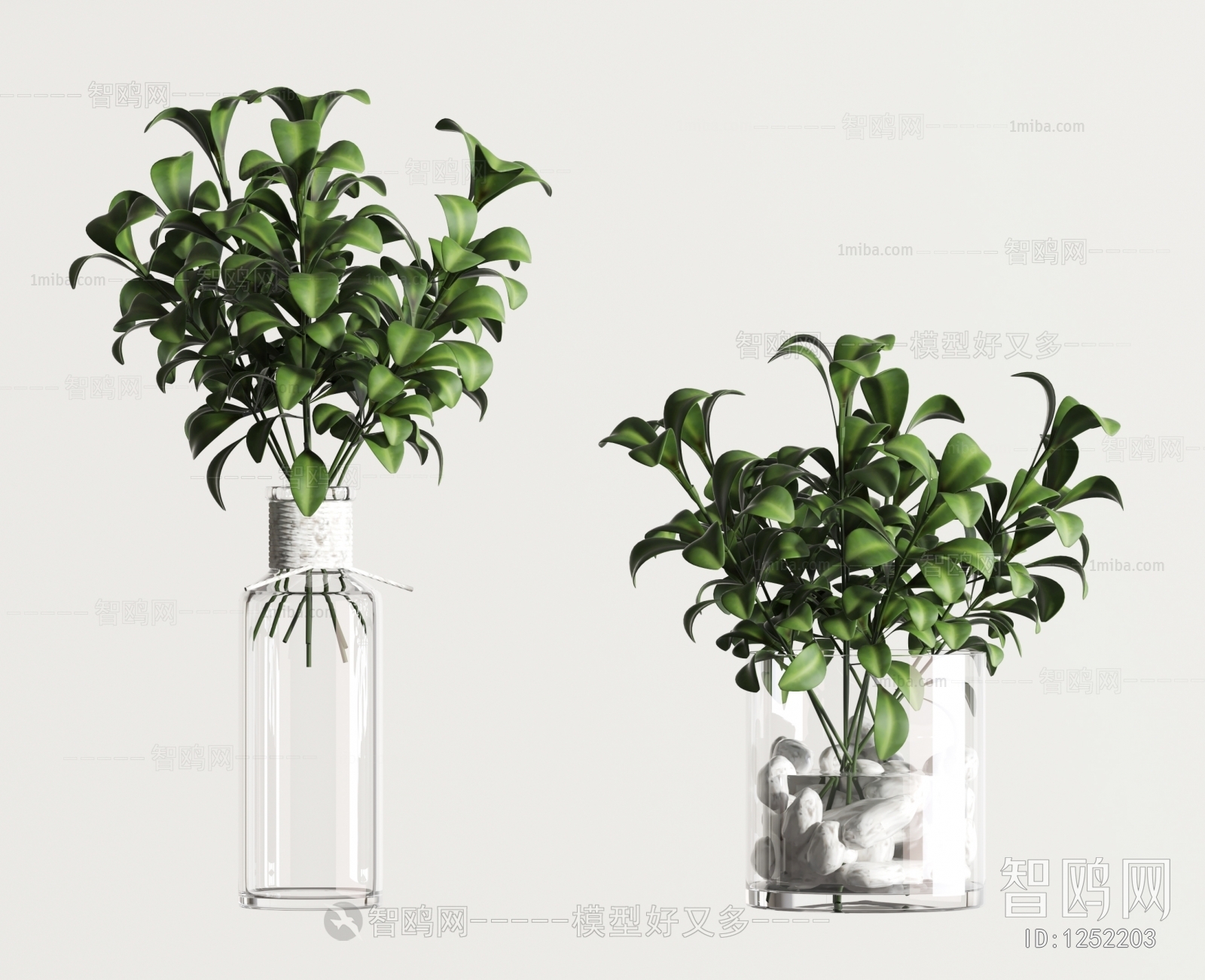 Modern Potted Green Plant