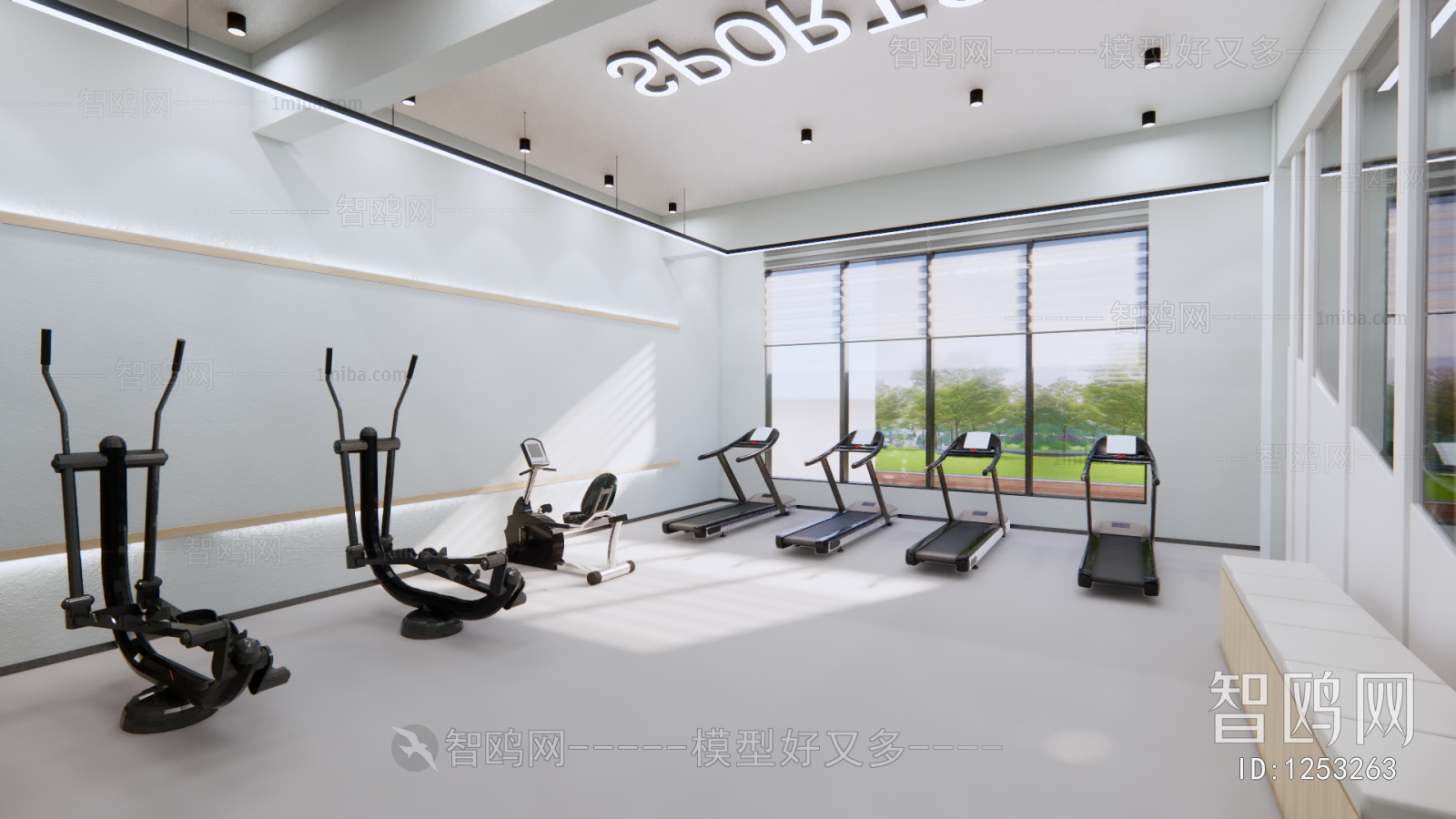 Modern Gym