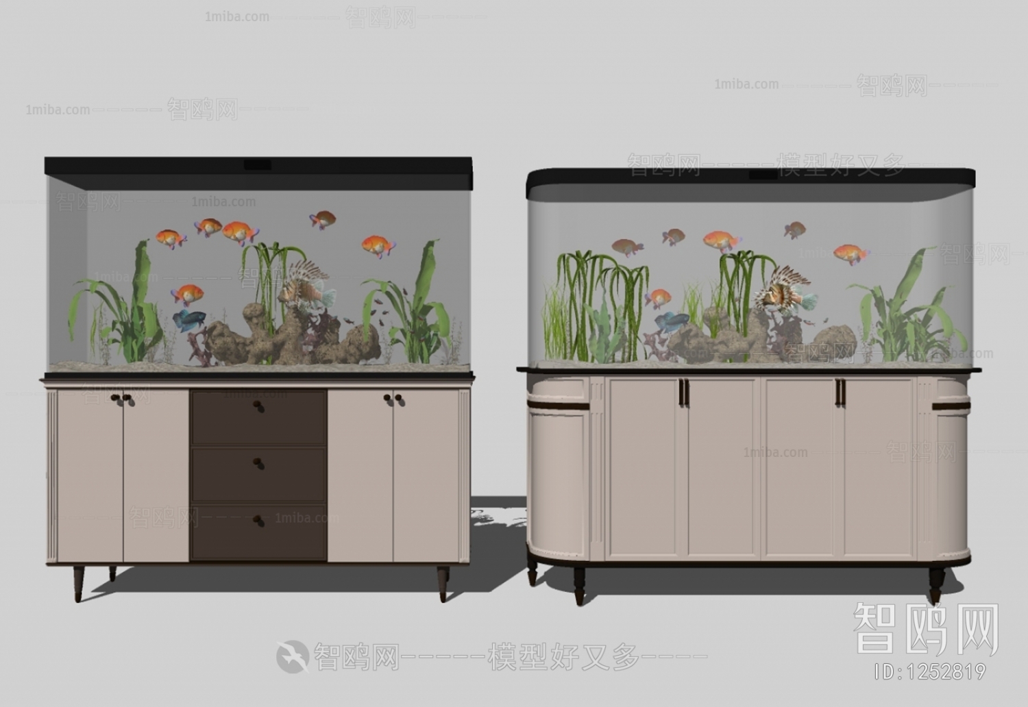 Modern Fish Tank