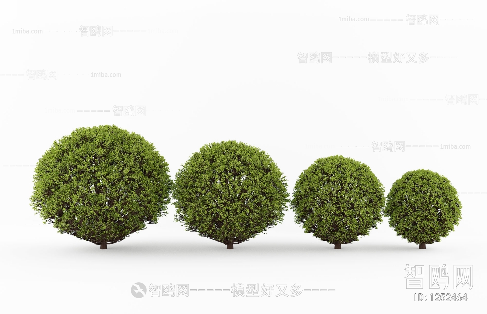 Modern Shrubbery