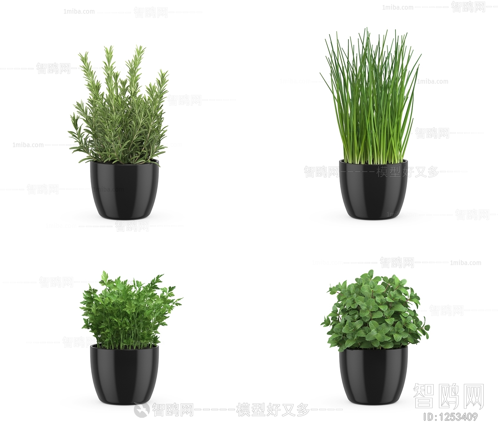 Modern Potted Green Plant