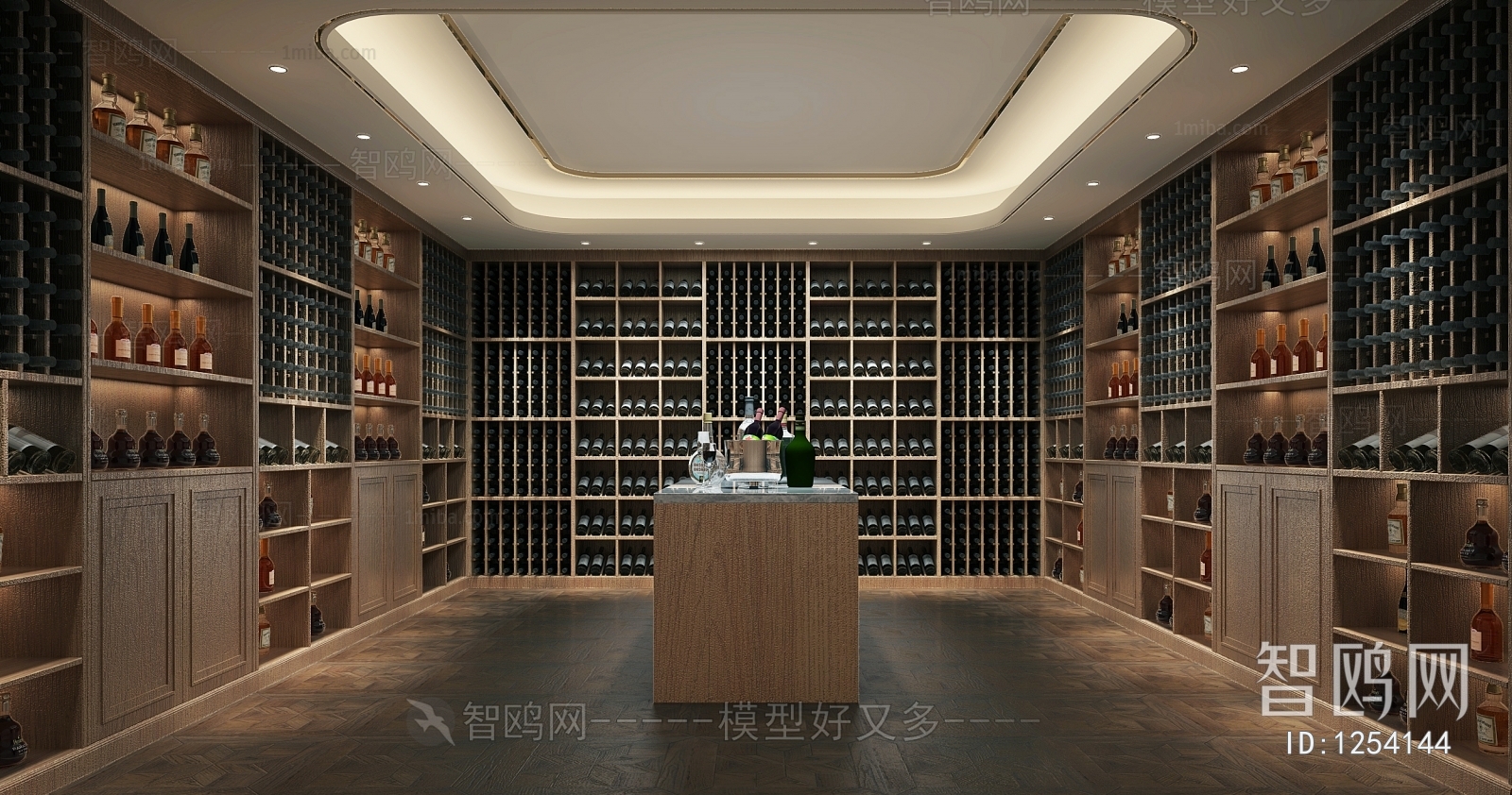 Modern Wine Cellar/Wine Tasting Room