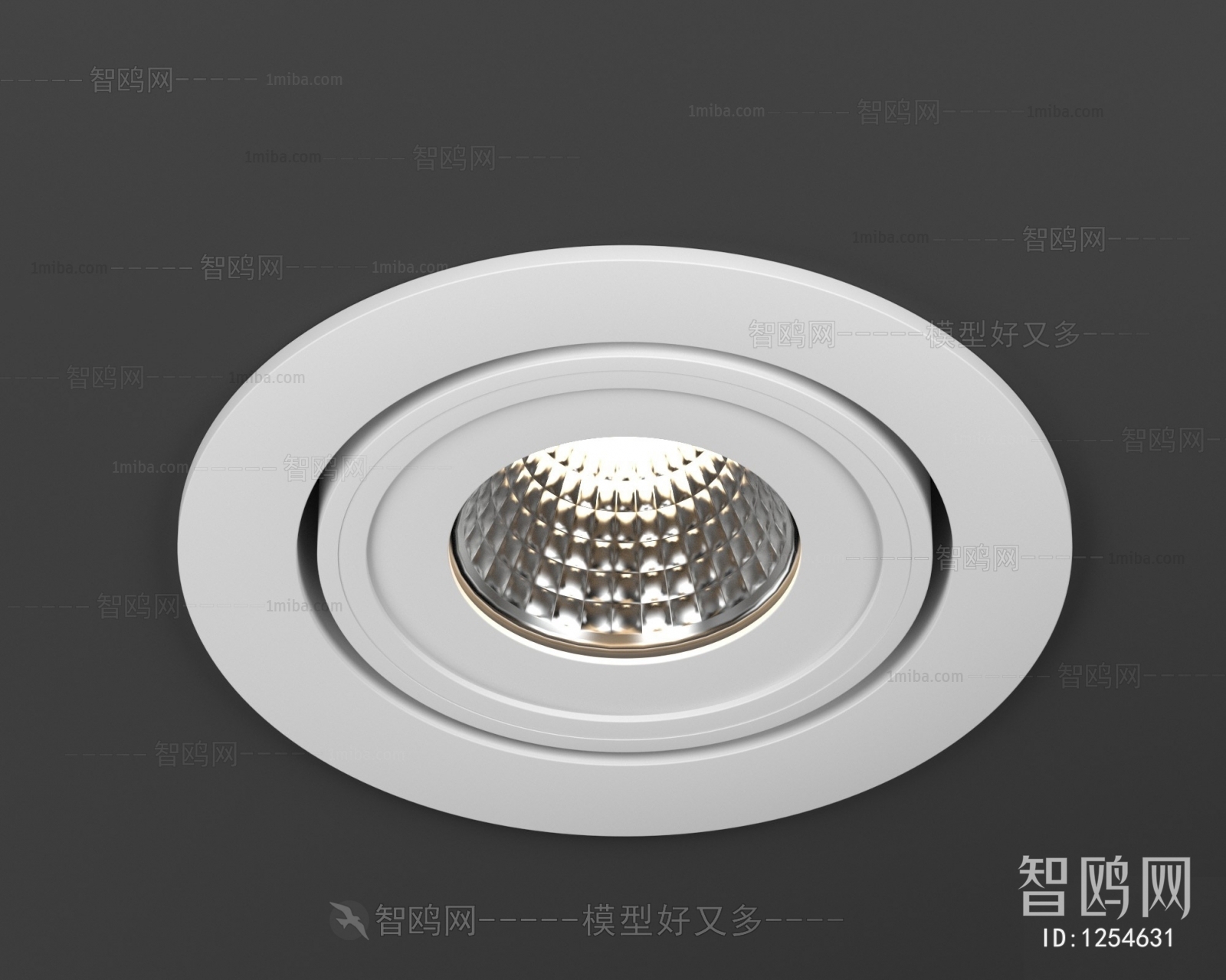 Modern Downlight Spot Light