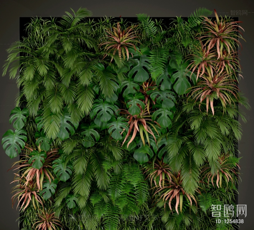 Modern Plant Wall