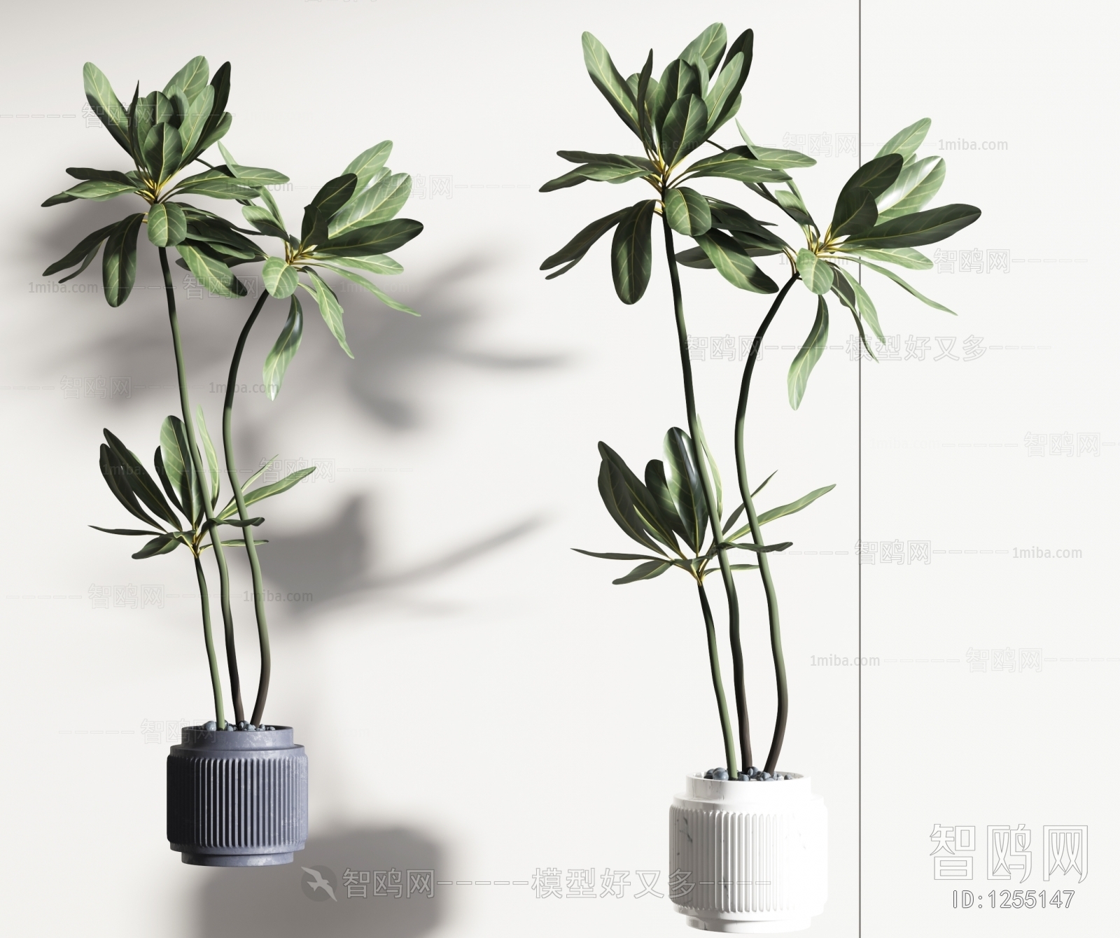 Modern Potted Green Plant