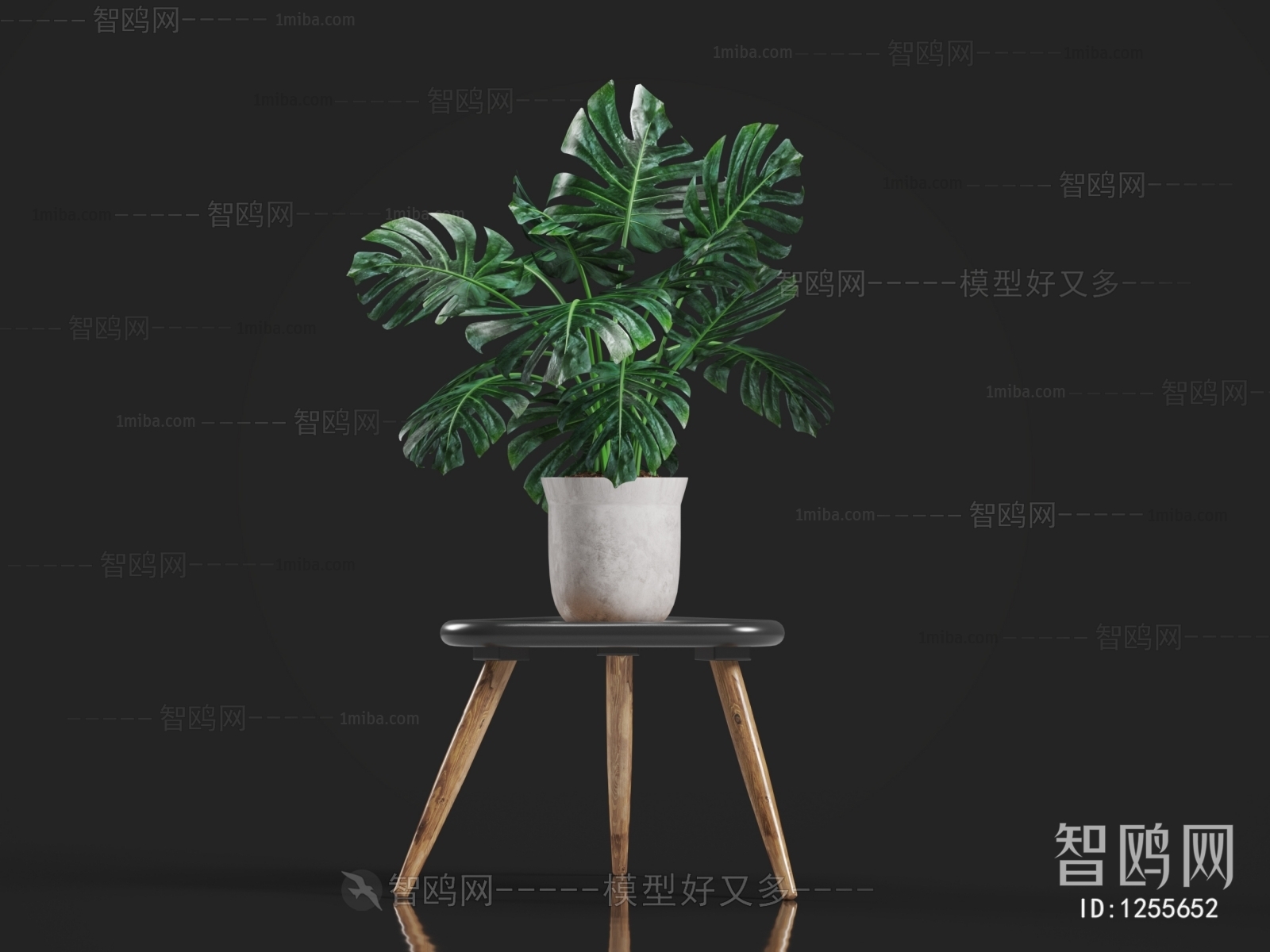 Modern Potted Green Plant