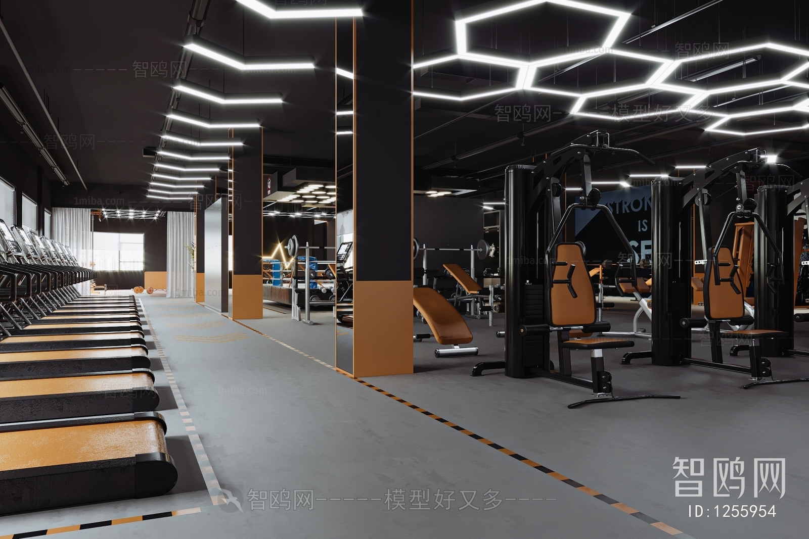 Modern Gym